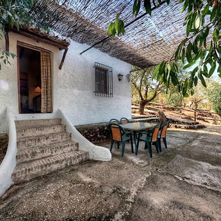 Apartamento Cortijo Balzain La Zubia  Exterior foto