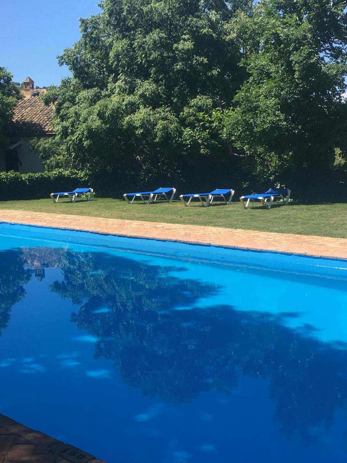 Apartamento Cortijo Balzain La Zubia  Exterior foto