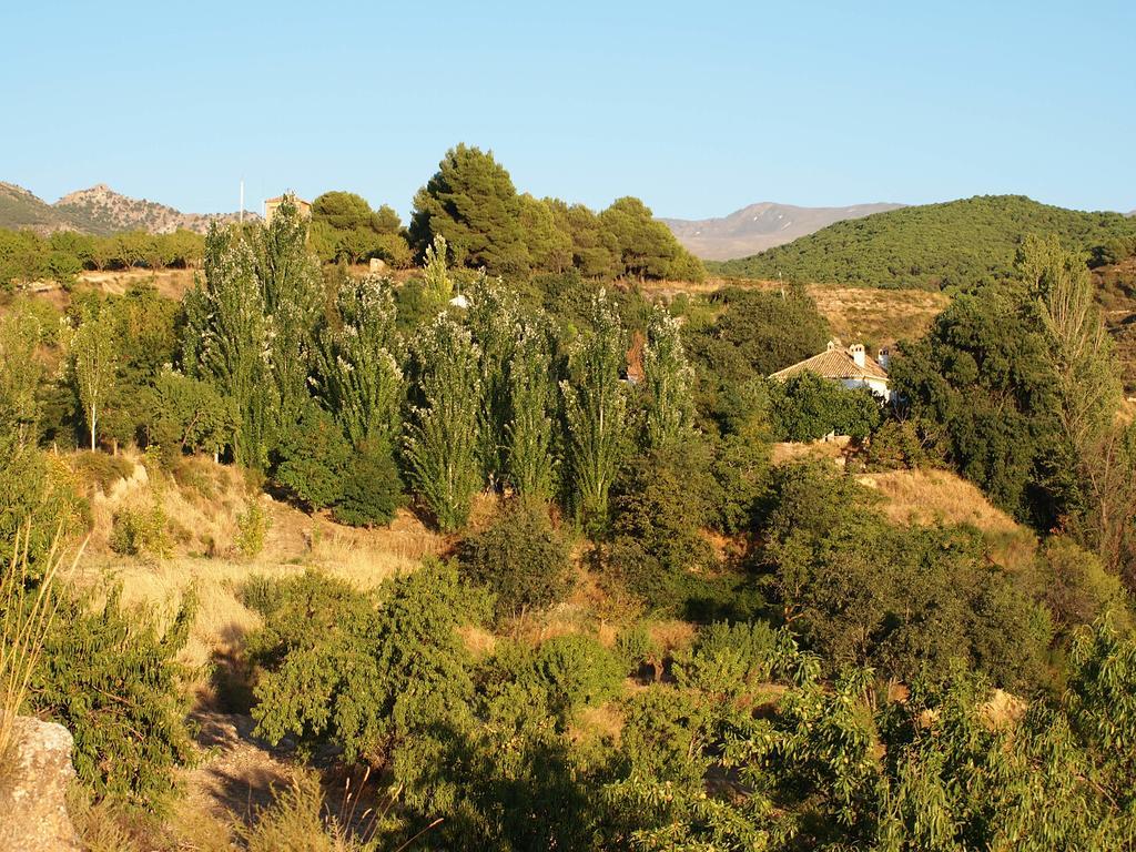 Apartamento Cortijo Balzain La Zubia  Exterior foto