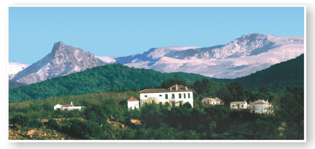 Apartamento Cortijo Balzain La Zubia  Exterior foto